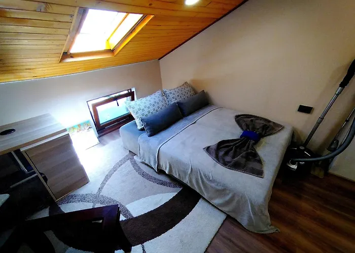 Centre Suits 2 * Warna